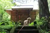 飯豊和気神社の動物