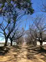 東蕗田天満社の自然