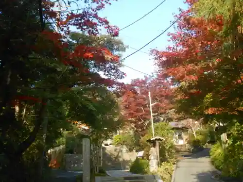 海蔵寺の景色