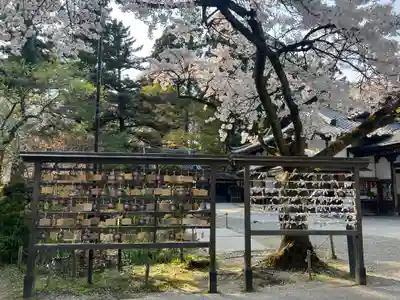 中尊寺(岩手県)