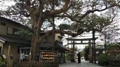 御霊神社の自然