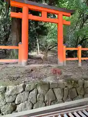 春日大社(奈良県)