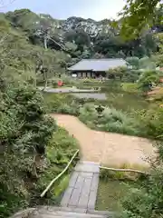 浄瑠璃寺(京都府)