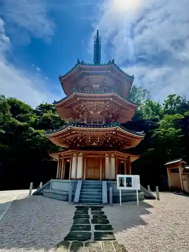 日本寺の{uncategorized: "未分類", other: "その他", undefined: "問題あり", building: "その他建物", grave: "お墓", sacred_gate: "鳥居", guardian: "狛犬", statue: "像", buddha: "仏像", history: "歴史", nature: "自然", garden: "庭園", animal: "動物", pagoda: "塔", temizu: "手水舎", mountain_gate: "山門・神門", sanctuary: "本殿・本堂", subordinate: "末社・摂社", art: "芸術", scenery: "景色", jizo: "地蔵", ema: "絵馬", goshuin: "御朱印", omikuji: "おみくじ", items: "授与品その他", amulet: "お守り", goshuincho: "御朱印帳", eats: "食事", festival: "お祭り", votive_dance: "神楽", shichigosan: "七五三参", wedding: "結婚式", experience: "体験その他", initially: "初詣", around: "周辺", anti_infection: "感染症対策"}