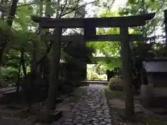 興法寺の建物その他