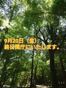 小御門神社(千葉県)(2024年09月19日(木) 15時09分38秒投稿)