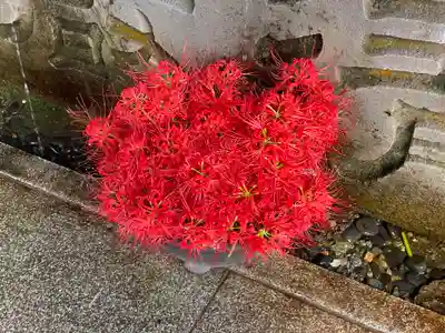 櫻山八幡宮(岐阜県)