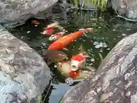 海蔵寺(埼玉県)