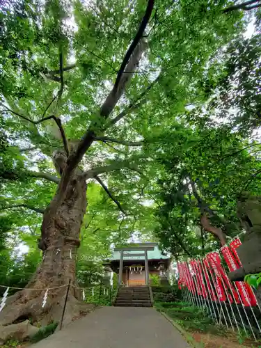 愛宕神社(福島県)