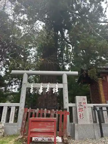 大杉神社(茨城県)