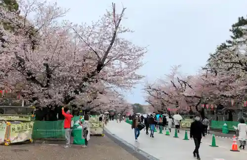 上野東照宮の自然