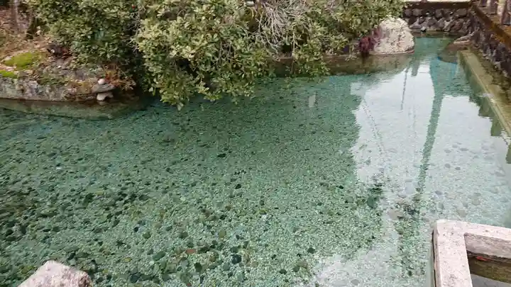神明神社(岐阜県)