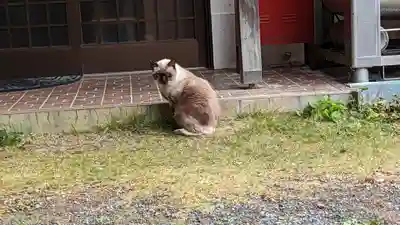 大雲寺(岩倉観音)(京都府)