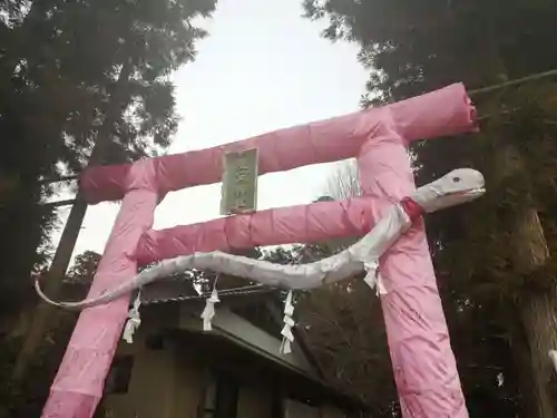 下野 星宮神社の鳥居