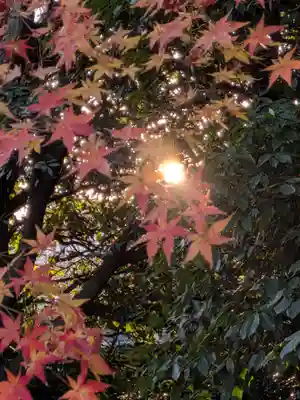 高円寺(東京都)