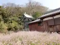 元嶋神社の本殿・本堂