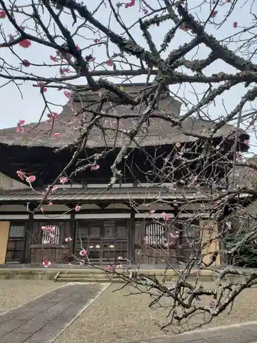 長勝寺の本殿・本堂