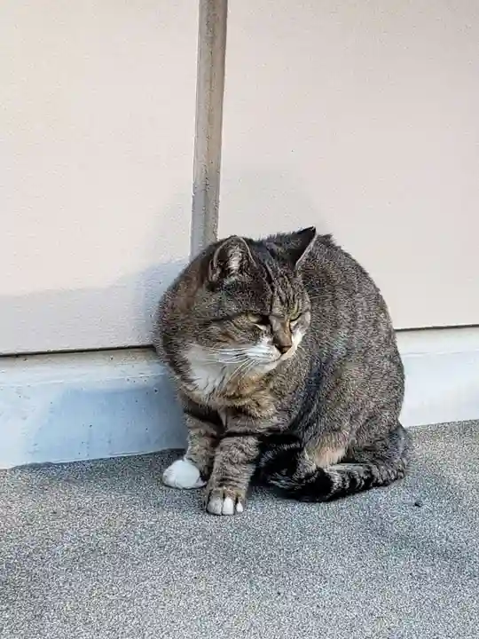 白金氷川神社の動物