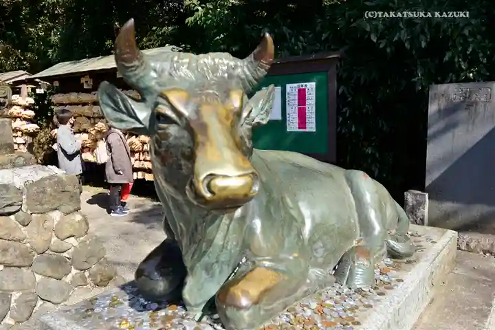 谷保天満宮の狛犬