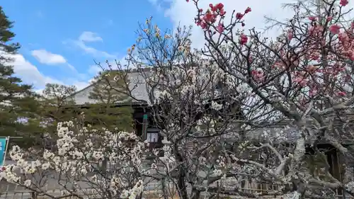 清凉寺(京都府)