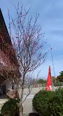 石鎚神社の自然