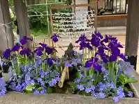 金峯神社の手水舎