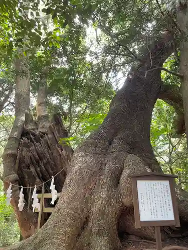 住吉神社(山口県)