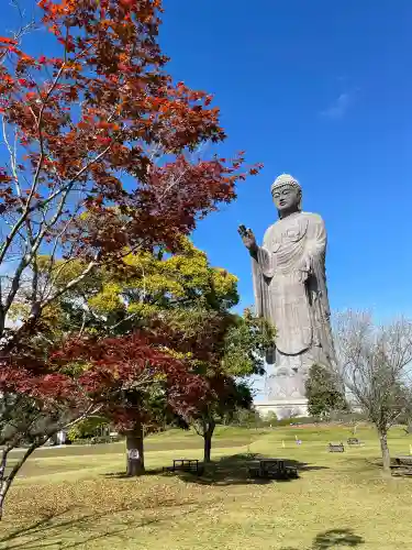 東本願寺本廟 牛久浄苑（牛久大仏）(茨城県)