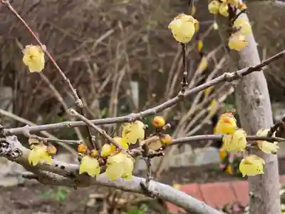 円照寺(兵庫県)