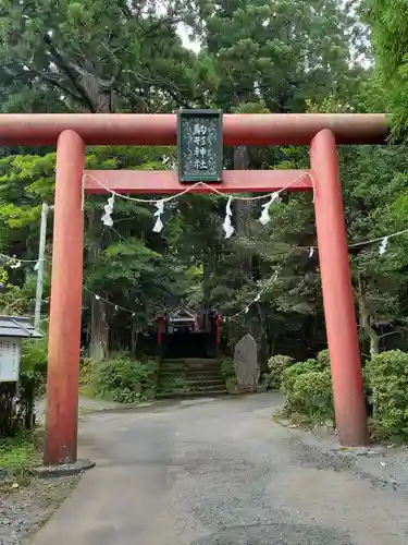 駒形神社（箱根神社摂社）の鳥居