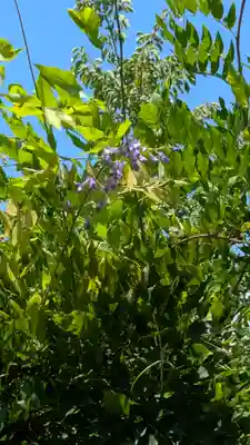 後白河院御聖蹟 法住寺(京都府)