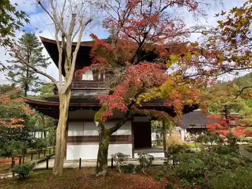 慈照寺（慈照禅寺・銀閣寺）(京都府)