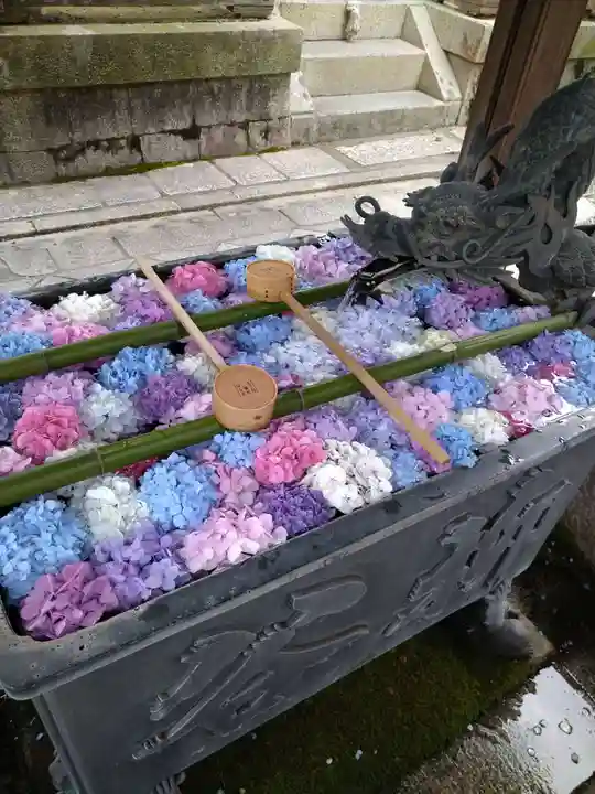 柳谷観音 楊谷寺(京都府)