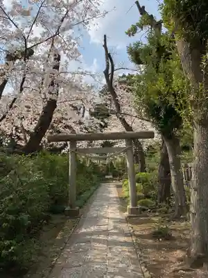 松陰神社の鳥居