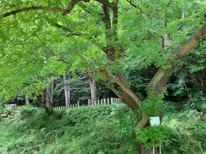 稱名寺(神奈川県)