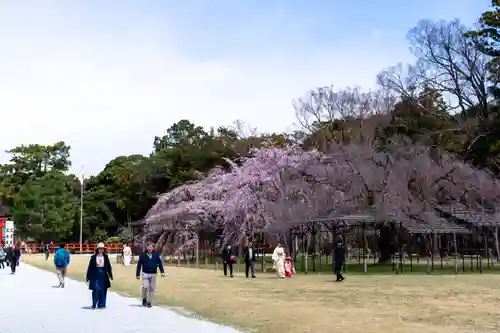 賀茂別雷神社（上賀茂神社）(京都府)
