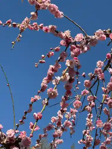 妙法寺(神奈川県)