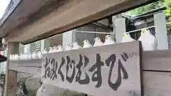 三宅八幡宮のおみくじ