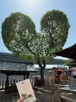南宮宇佐八幡神社(脇浜神社)(兵庫県)