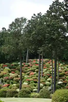  七国山薬王寺(東京都)