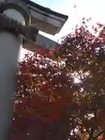 木田神社(福井県)