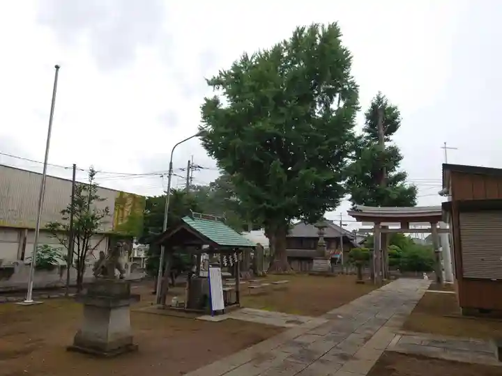 守谷総鎮守 八坂神社のその他建物