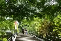 岡寺（龍蓋寺）の建物その他