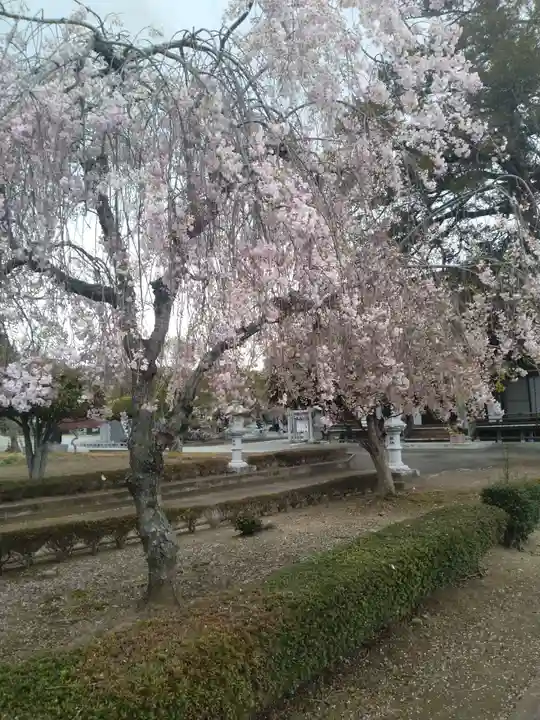金泉寺(宮城県)
