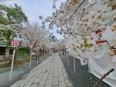三嶋大社(静岡県)