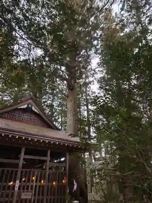 黒沼神社(福島県)