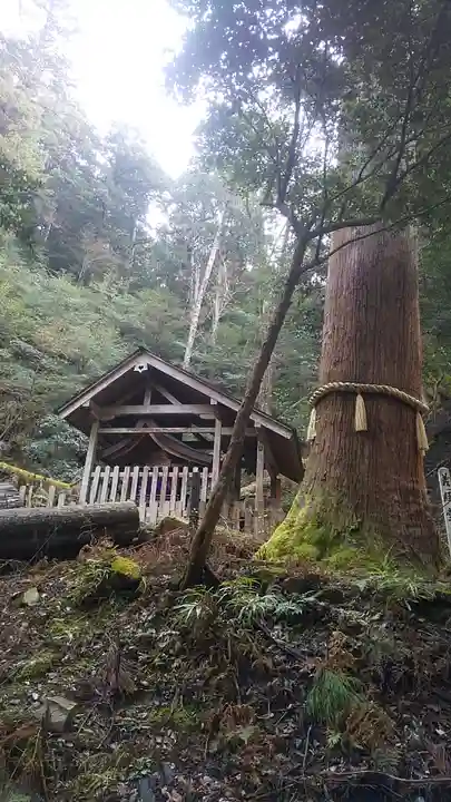 鞍馬寺(京都府)