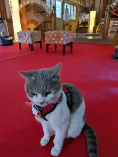 正一位 若草稲荷神社の{uncategorized: "未分類", other: "その他", undefined: "問題あり", building: "その他建物", grave: "お墓", sacred_gate: "鳥居", guardian: "狛犬", statue: "像", buddha: "仏像", history: "歴史", nature: "自然", garden: "庭園", animal: "動物", pagoda: "塔", temizu: "手水舎", mountain_gate: "山門・神門", sanctuary: "本殿・本堂", subordinate: "末社・摂社", art: "芸術", scenery: "景色", jizo: "地蔵", ema: "絵馬", goshuin: "御朱印", omikuji: "おみくじ", items: "授与品その他", amulet: "お守り", goshuincho: "御朱印帳", eats: "食事", festival: "お祭り", votive_dance: "神楽", shichigosan: "七五三参", wedding: "結婚式", experience: "体験その他", initially: "初詣", around: "周辺", anti_infection: "感染症対策"}