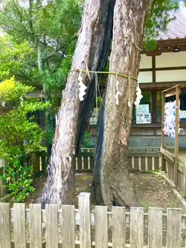 玉崎神社(千葉県)