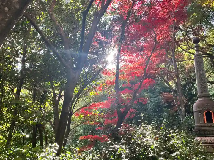 柳谷観音 楊谷寺(京都府)